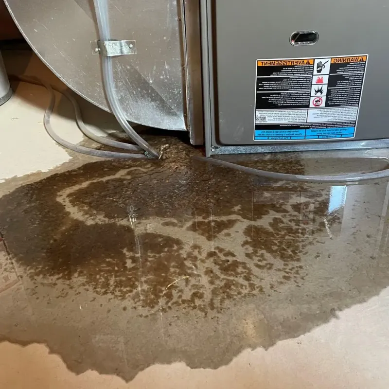 Pipe Burst and Leak Restoration in Bryn Athyn, PA